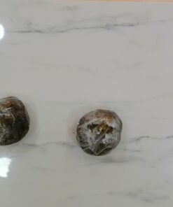 Chocolate Cheese Bun