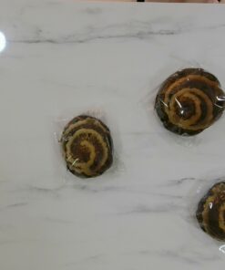 Chocolate Peanut Bun