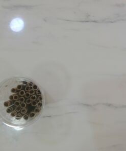 Chocolate wafer roll